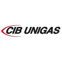 Кабель ионизационного электрода газовой горелки Cib Unigas 6050214