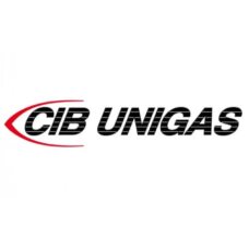 Печатная плата CIB Unigas 6100566