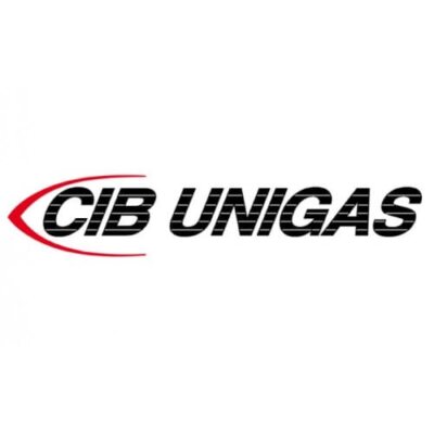 Кабель ионизационного электрода газовой горелки Cib Unigas 6050214 Cib Unigas Запчасти горелок Производитель CIB UNIGAS ООО ТД Теплоэнергетика г Северск