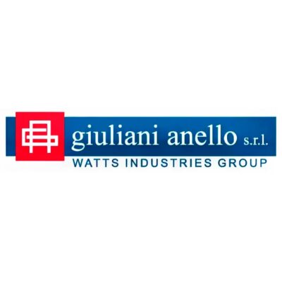 Газовый фильтр Giuliani Anello 70620F/6B 0070053200 Топливные фильтры Производитель Giuliani Anello ООО ТД Теплоэнергетика г Северск