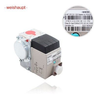 Газовый электромагнитный клапан Dungs WFM 055 D01 S20 rp12 WG5 Weishaupt 605240