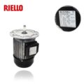 Двигатели Riello