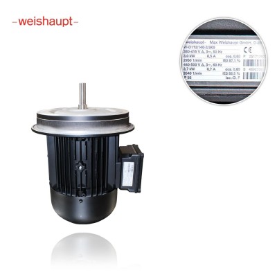 Электродвигатель горелки Weishaupt W-D112/140-2/3K0 art 25171707010